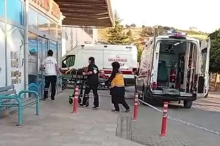 Ceviz ağacından düşen kişi yaralandı
