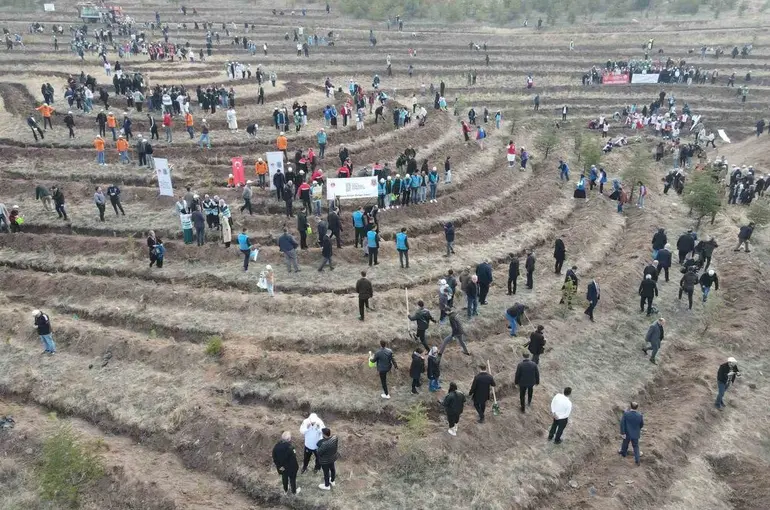 Çorum’da binlerce fidan toprakla buluşturuldu
