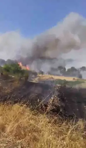 Çüngüş’te çıkan yangın üzüm bağlarına zarar verdi

