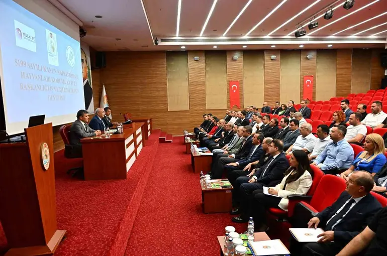 Denizli’de sahipsiz hayvanlar için kritik zirve
