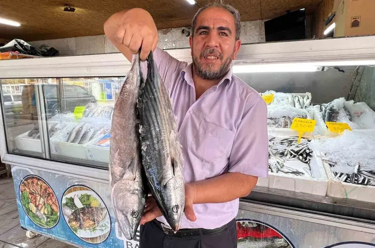 Deprem sonrası Kahramanmaraş’tan 54 ülkeye balık ihracatı

