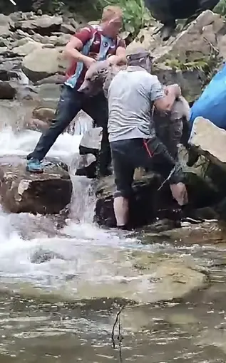 Dere yatağında mahsur kalan yavru boz ayıyı yöre halkı kurtardı
