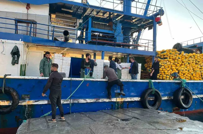 Didim’de hamsi kotası denetimleri sürüyor
