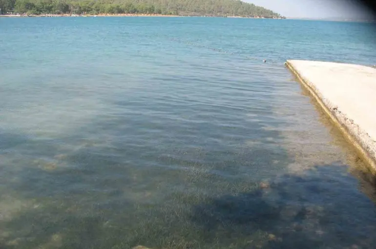 Didim’in deniz suyu kalitesi dikkat çekti
