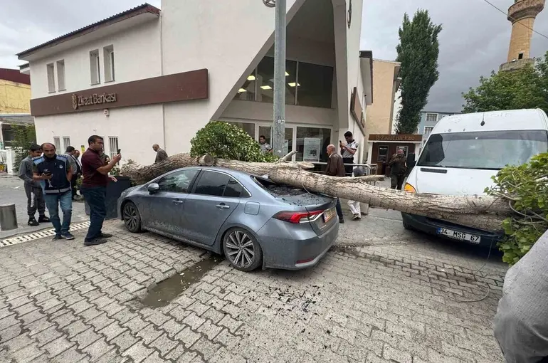 Diyadin’de ağaç devrildi araç hasar gördü
