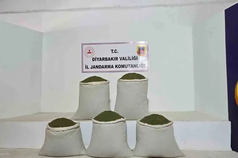 Diyarbakır’da 14 bin kök kenevir, 129 kilo esrar ele geçirildi
