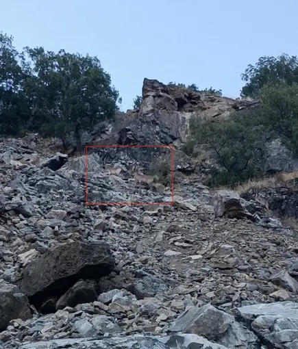 Diyarbakır’da nesli koruma altında bulunan dağ keçileri görüntülendi
