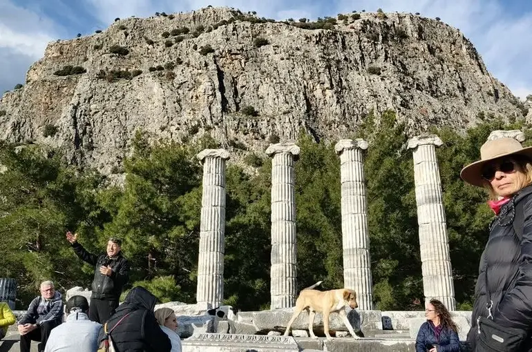 Doğaseverler, Anadolu’nun Pompeisi Priene Antik Kenti’ne dikkat çekti
