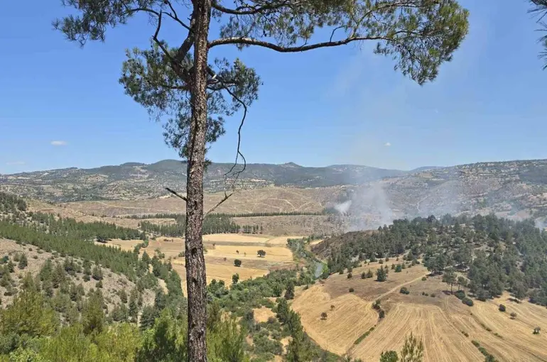 Dursunbey’de orman yangını

