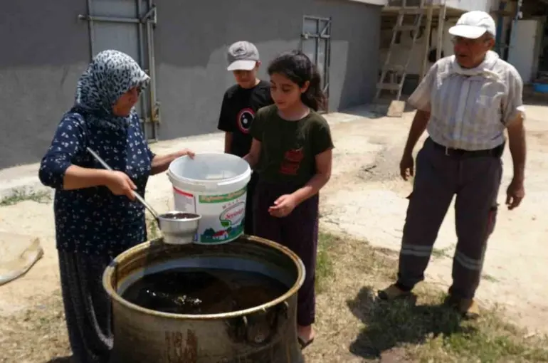 Dut bolluğu pekmez üretimini artırdı
