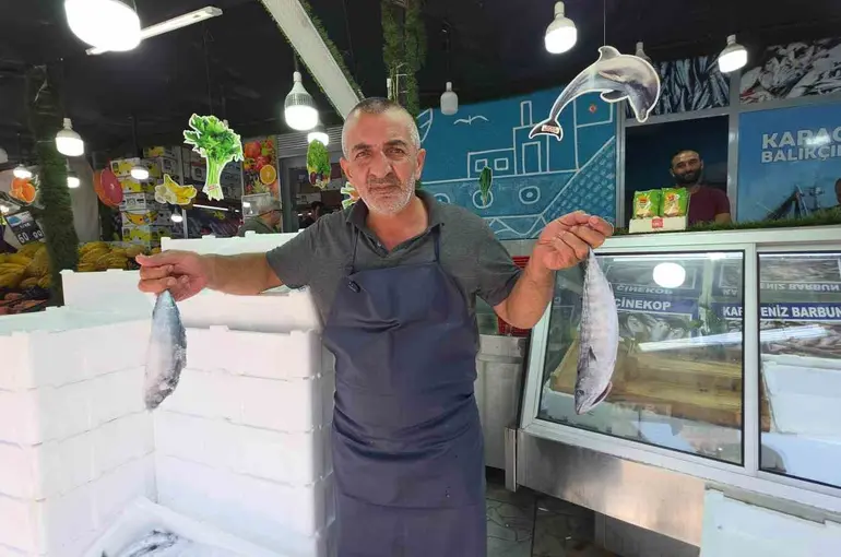 Düzce’de palamut tezgaha indi, vatandaş sıraya girdi
