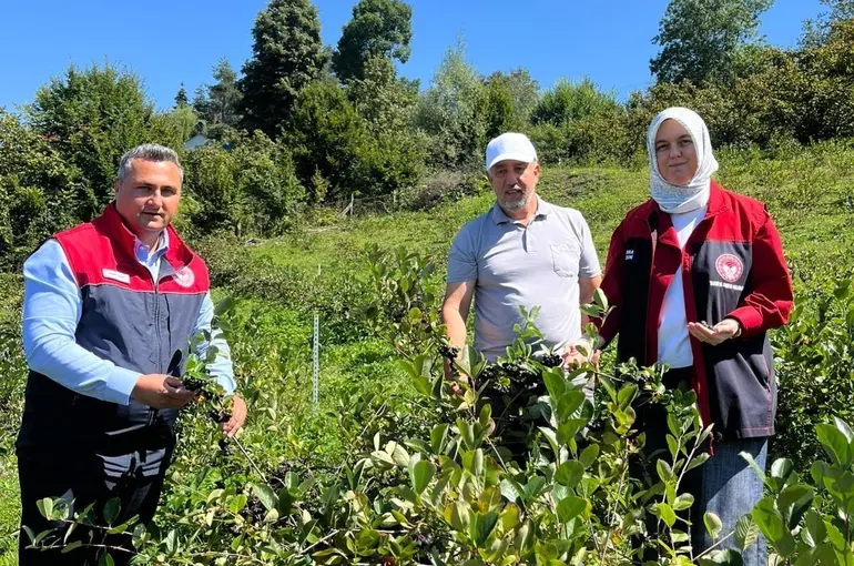 Düzce’de üretiminde yeni hedef katma değerli ürünler
