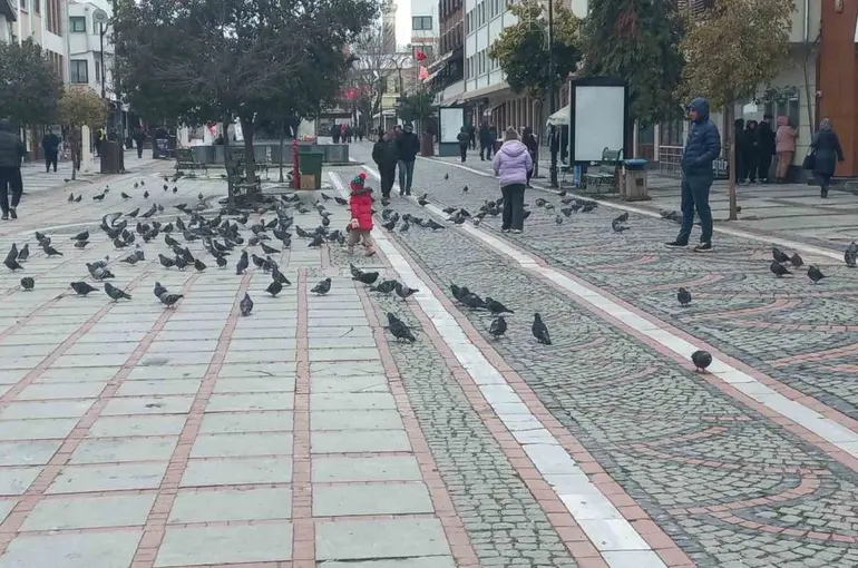Edirne’de dondurucu soğuk: Edirneliler evde, Bulgarlar mağazalarda
