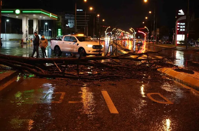Edirne’de sağanak yağış ve rüzgar, ağacı devirdi
