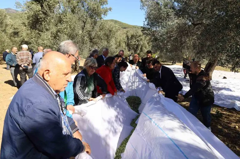 Edremit Körfezi’nin Altın Mirası İçin "3. Edremit Festolıve" başlıyor
