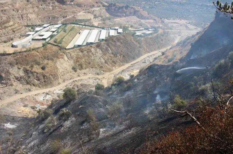 Ekiplerin hızlı müdahalesi can dostları ve hastaneyi yanmaktan kurtardı
