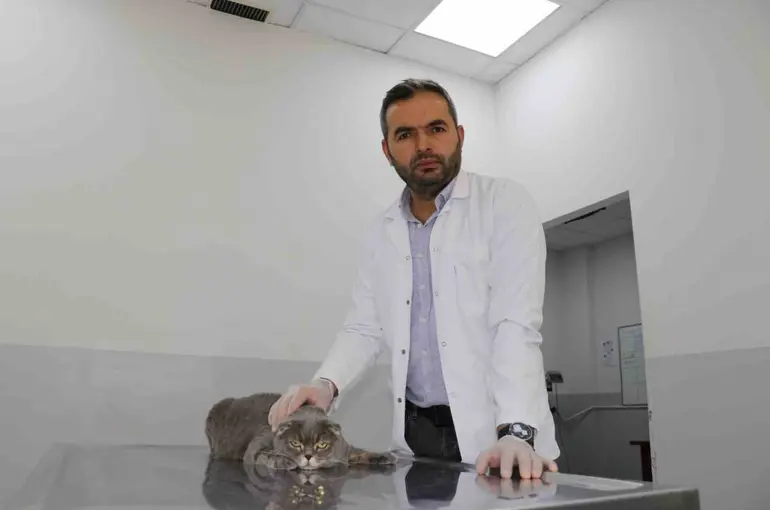 Ekmek kavgası bitti, kedi ve köpekler dost oldu

