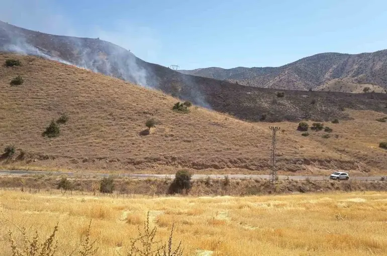 Elazığ’da anız yangını söndürüldü
