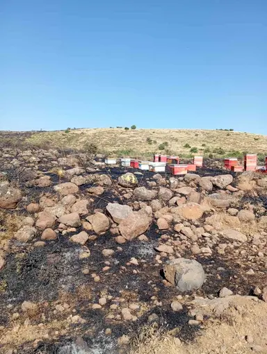 Elazığ’da arazi yangını: Arı kovanları zarar gördü
