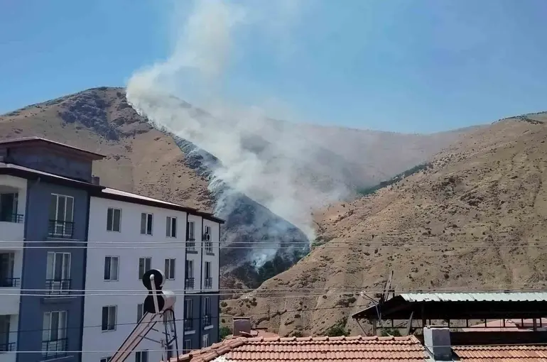 Elazığ’da dağlık alanda yangın
