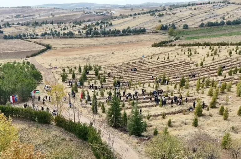 Elazığ’da Doğu Türkistan ve Filistin için fidan diktiler
