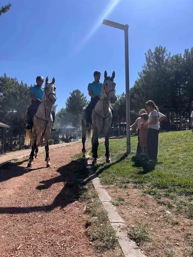 Elazığ’da Harput ve Cip, Atlı Jandarma Timlerine emanet
