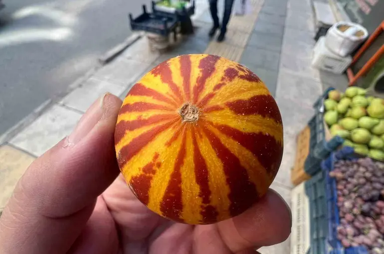Elazığ’da kokulu süs kavunu tezgahlarda
