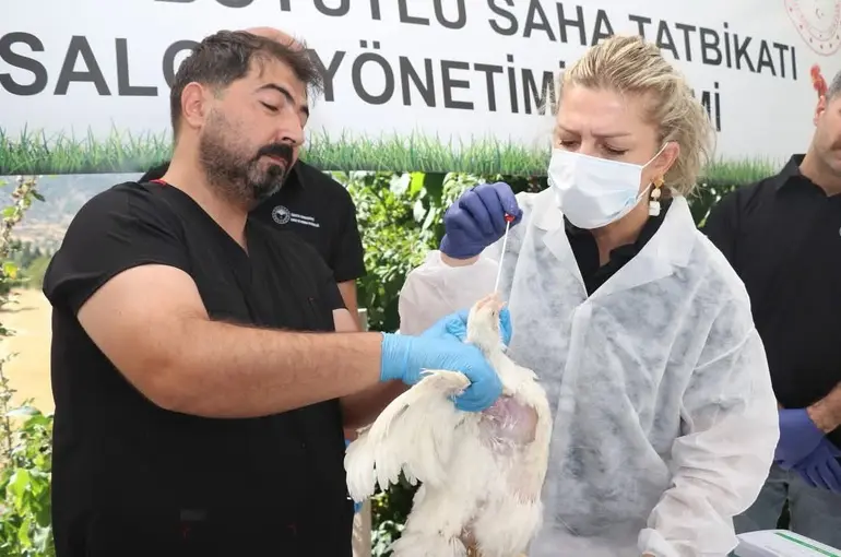 Elazığ’da kuş gribi eğitimi
