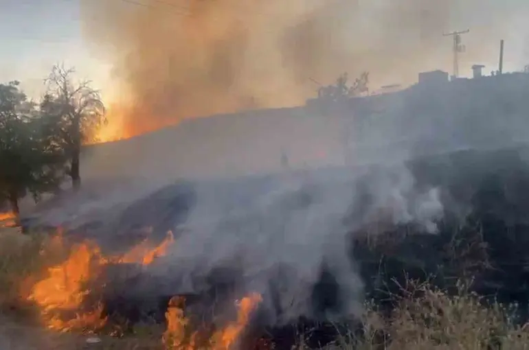 Elazığ’da otluk alanda çıkan yangın söndürüldü
