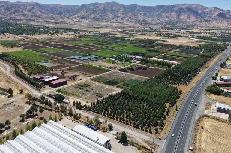 Elazığ’da üretilen milyonlarca fidan, ülkeye nefes oluyor
