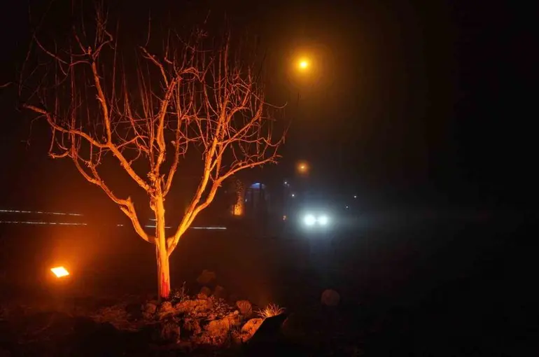 Elazığ’da yoğun sis: 4 bin yıllık Harput Mahallesi’nde göz gözü görmedi
