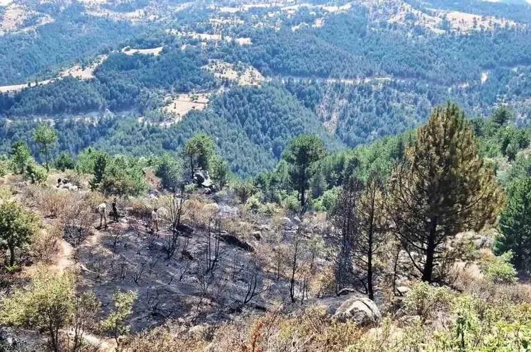 Emet’te çıkan orman yangınında 2 hektar alan zarar gördü
