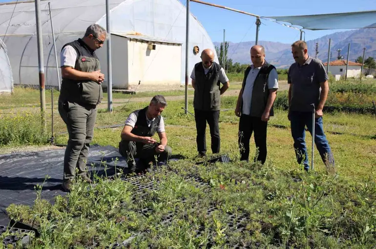 Erzincan Fidanlık Şefliğinde 2026 yılı üretim çalışmaları incelendi
