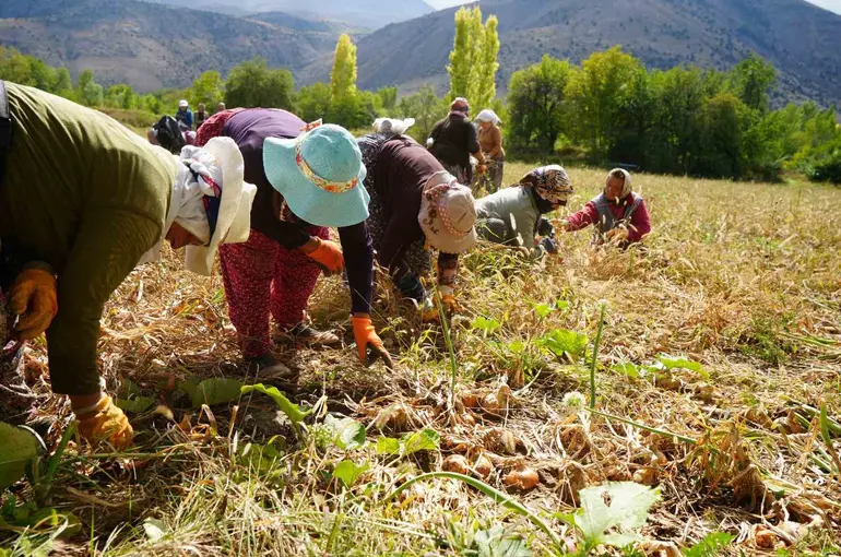 Erzincan’a 169,6 milyon liralık tarımsal hibe desteği
