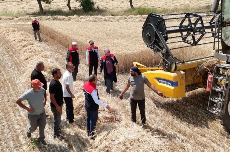 Erzincan’da buğday hasadı sürüyor, biçerdöverler denetlendi
