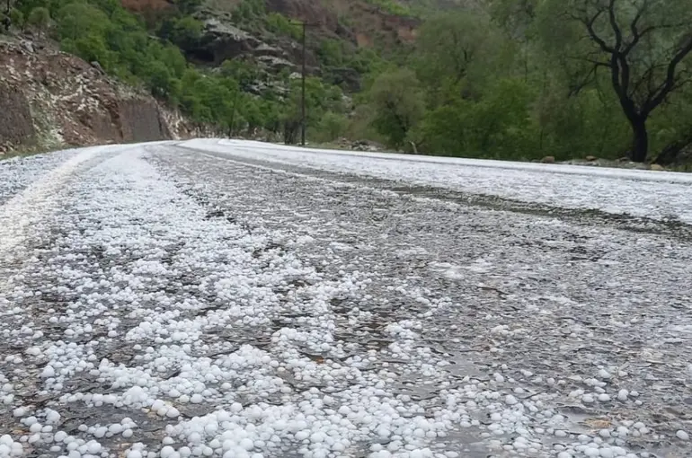 Erzincan’da dolu yağışı etkili oldu
