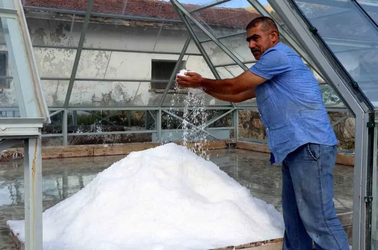Erzincan’ın dağlarından sofralara

