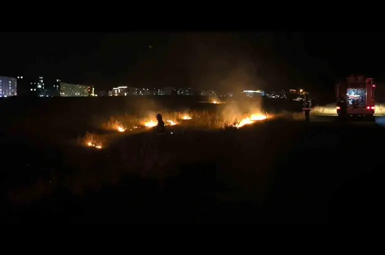 Erzurum’da  kuru ot yangınına itfaiye müdahale etti

