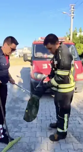 Evin bahçesine giren yılan itfaiye ekiplerini peşinden koşturdu
