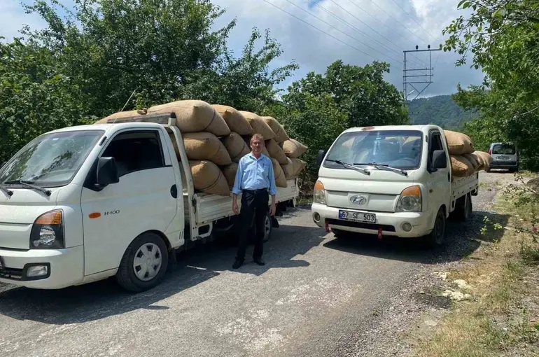 Fındık tüccarından üreticiye kritik uyarı: "Dalından toplamayın, yere dökülmesini bekleyin"
