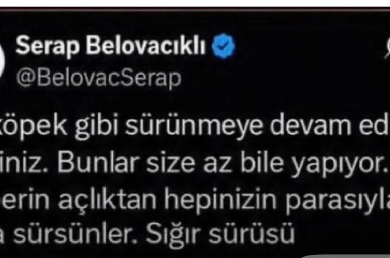 Gazeteci Serap Belovacıklı hakkında soruşturma başlatıldı
