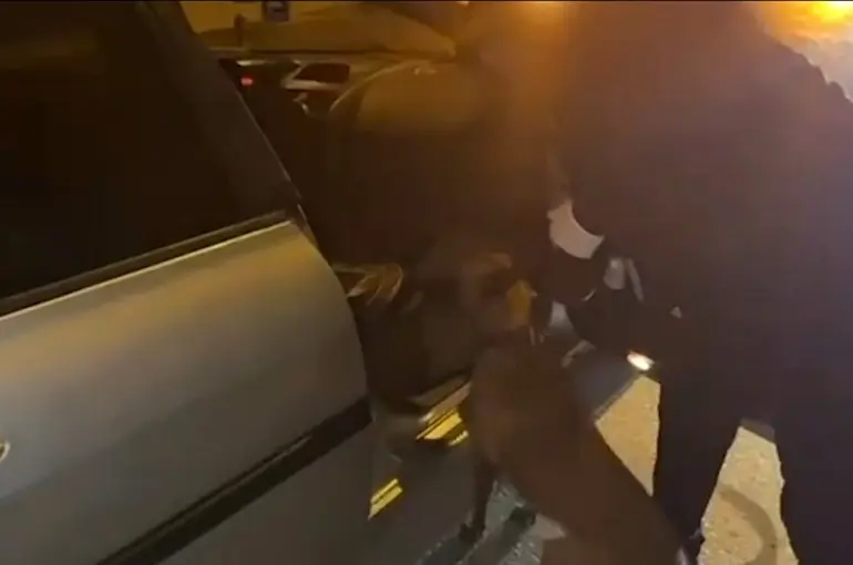 Gaziantep’te 2 araçta uyuşturucu hammaddesi ele geçirildi