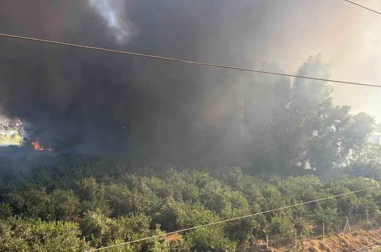 Geri dönüşüm fabrikasındaki yangına havadan da müdahale başladı
