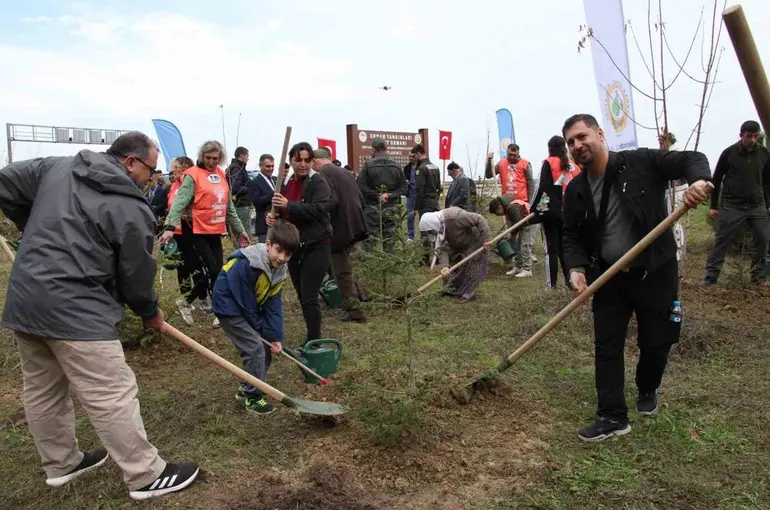 Gerze’de şehit orman görevlileri anısına fidan dikildi
