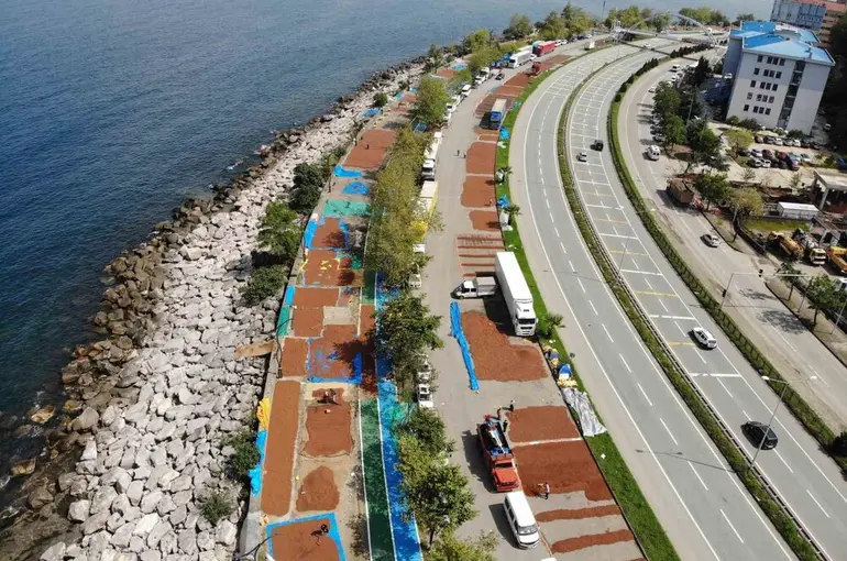 Giresun’da fındık hasadının ardından üreticilerin kurutma mesaisi sürüyor
