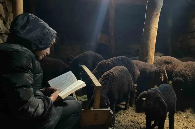 Gündüz hayvan bakıyor gece hayalleri için çalışıyor
