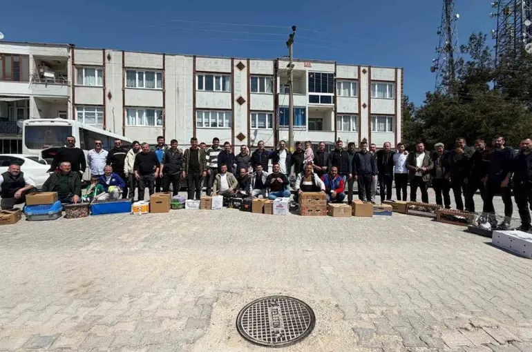 Güvercinin başkentinde gökyüzünde muhteşem şov
