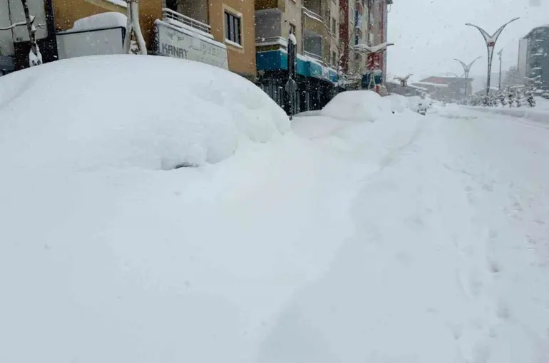 Hakkari’de 357 yerleşim yerinin yolu kapandı
