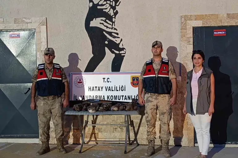 Hatay’da 7 arı şahini avlayan şahsa ceza yağdı
