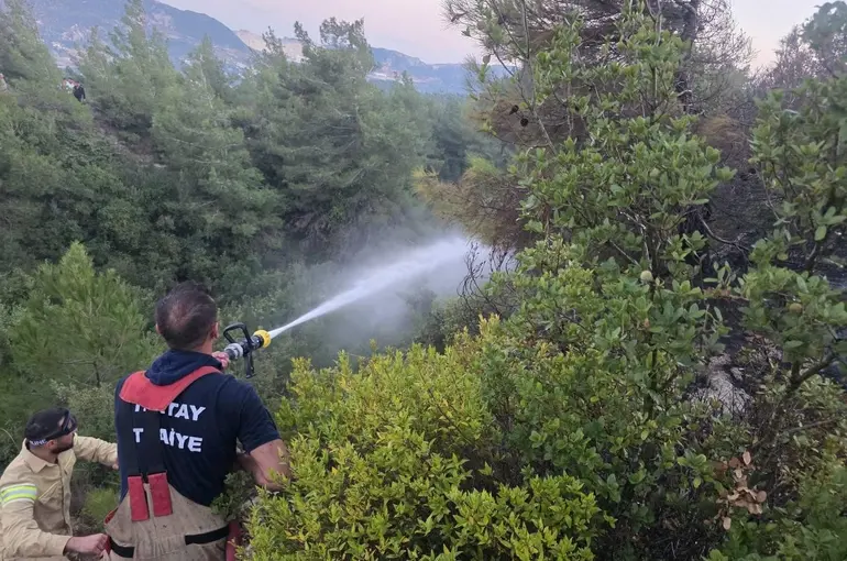 Hatay’da orman yangını çıktı
